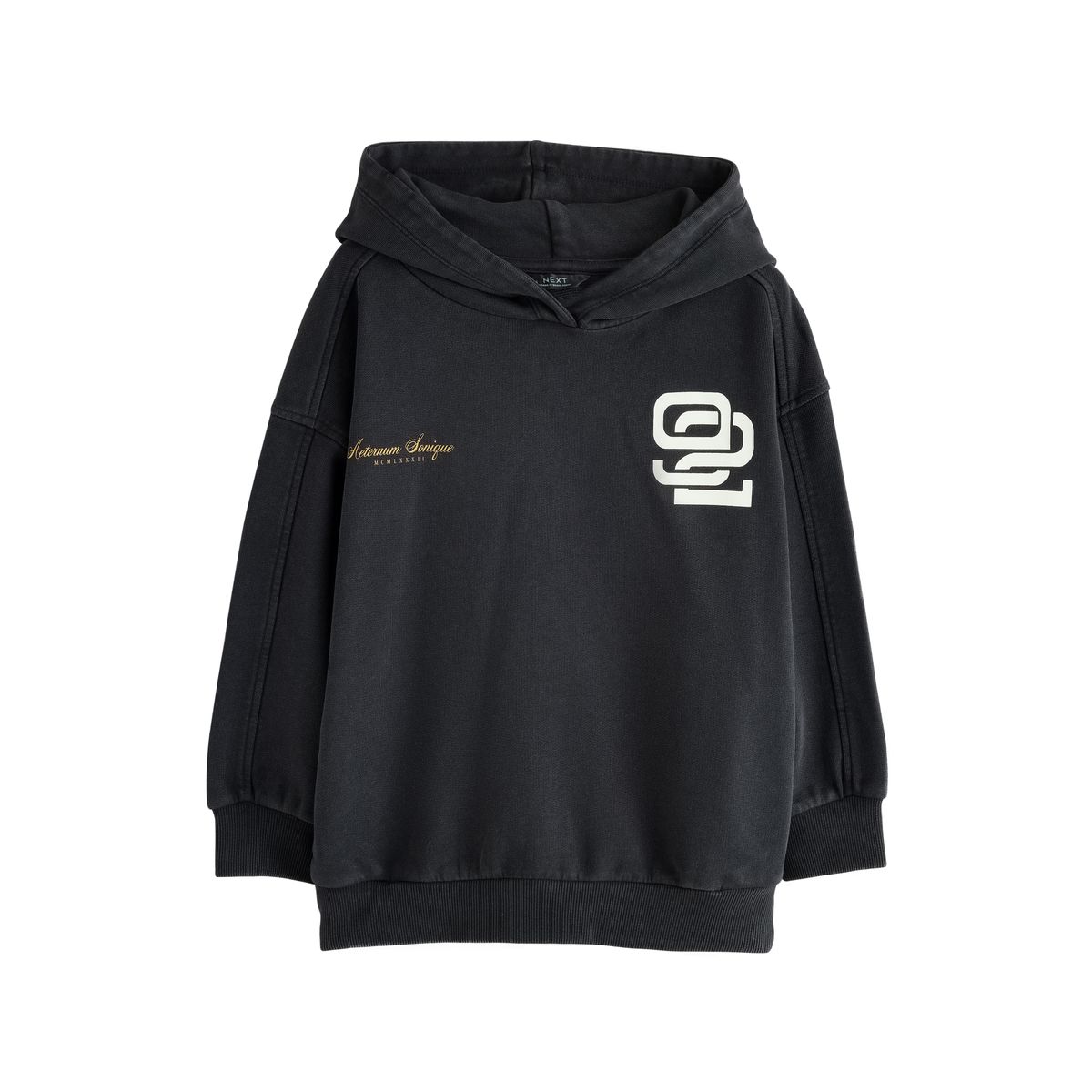 Sweat à capuche décontracté motif charbon lavé, NEXT