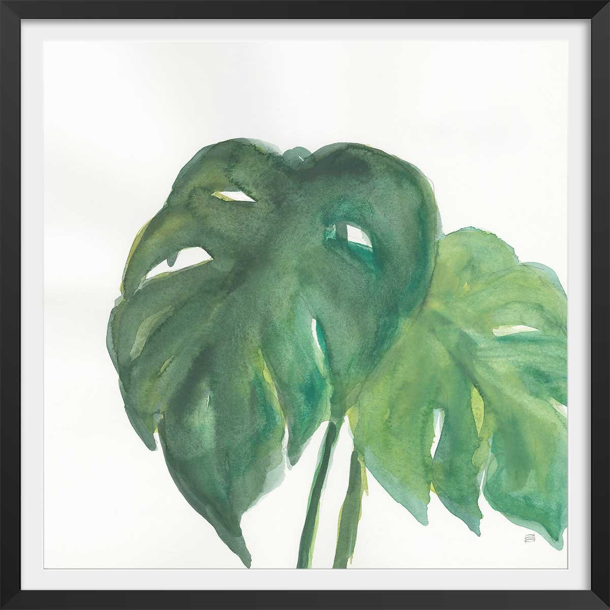 Affiche Plante monstera watercolor affiche + cadre en bois - noir, HEXOA
