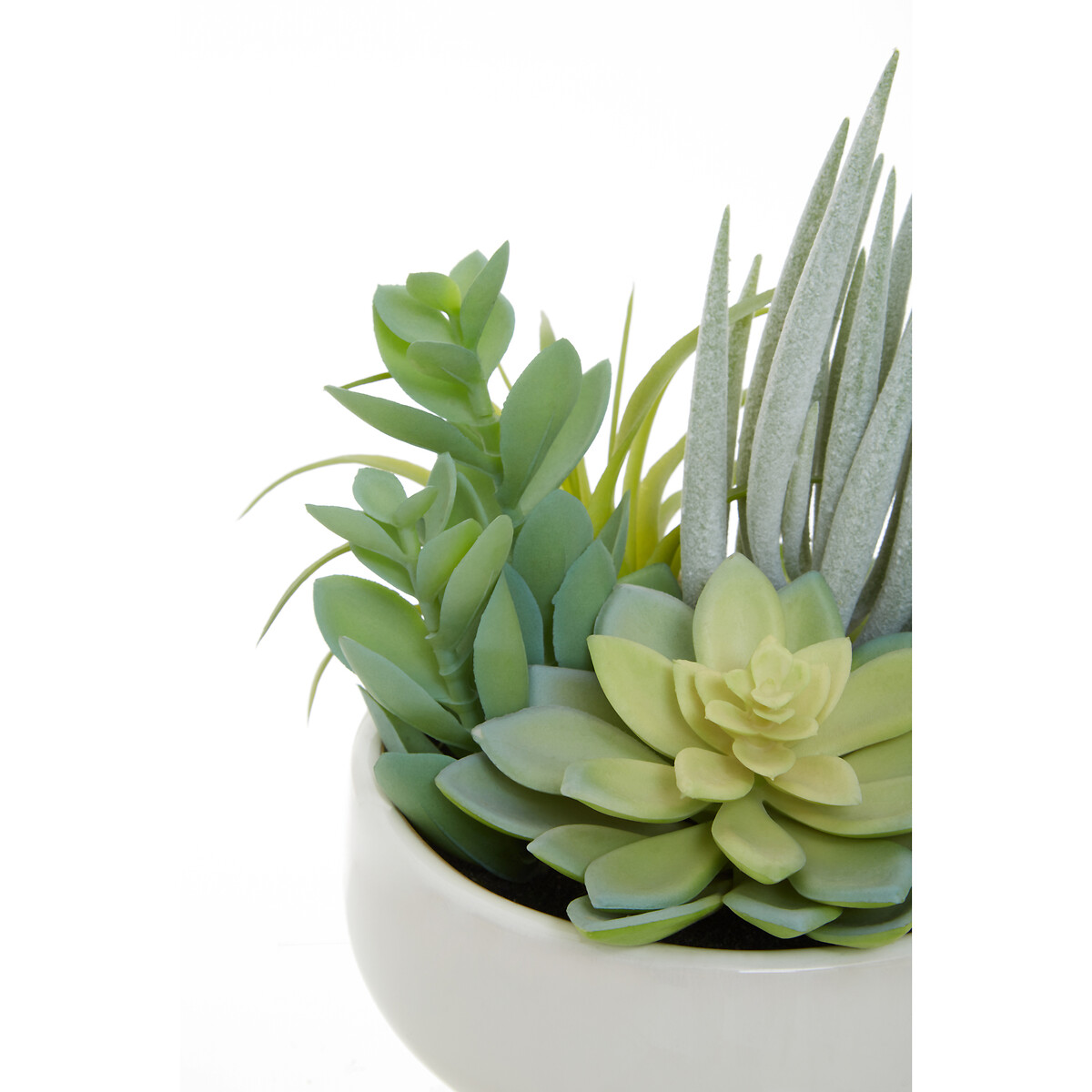 24cm Artificial Fiori Mixed Succulent in White Ceramic Pot green, ÉDITÉ