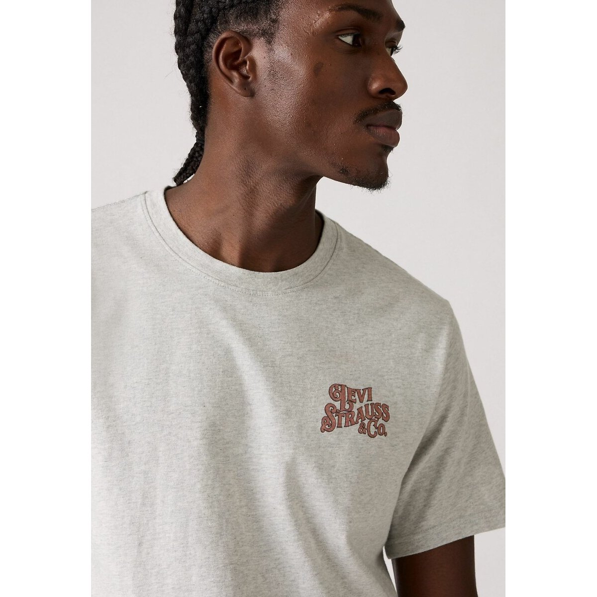 Relaxed Fit T-Shirt Printed On Back light grey, LEVI'S