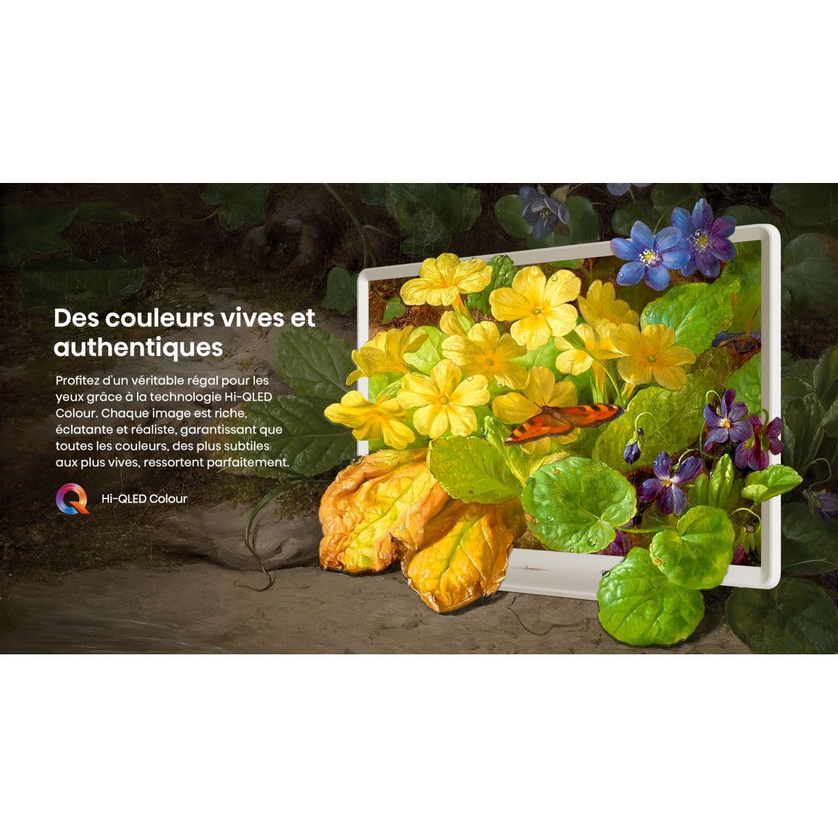 TV QLED 32S5Q (2025) 32" (81 cm) couleur unique, HISENSE