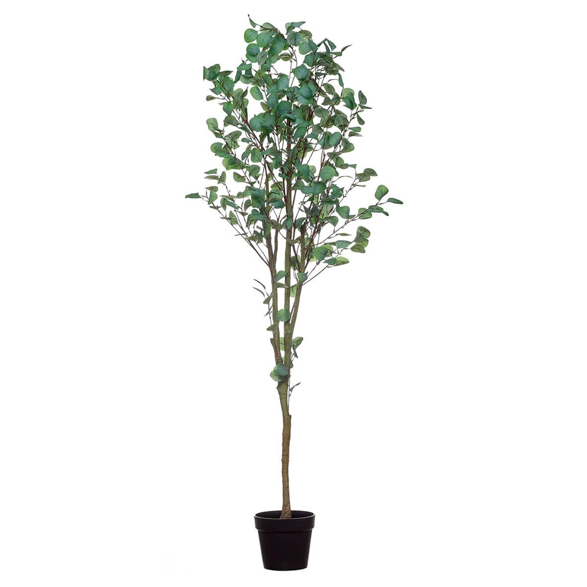 Planta artificial "Eucalyptus" 180cm, BORGHESI verde, BORGHESI