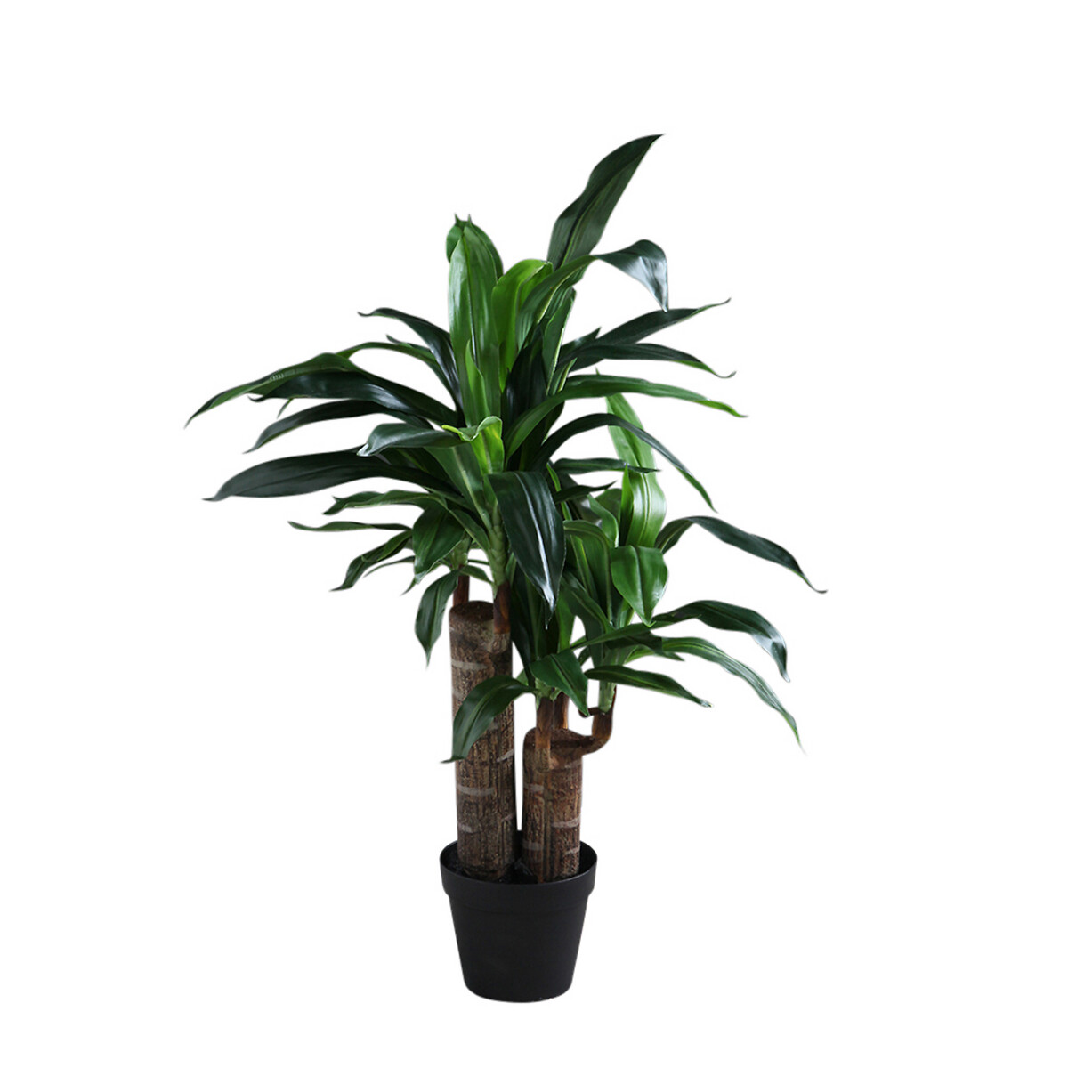 80cm Artificial Double Stem Yucca green, SO'HOME
