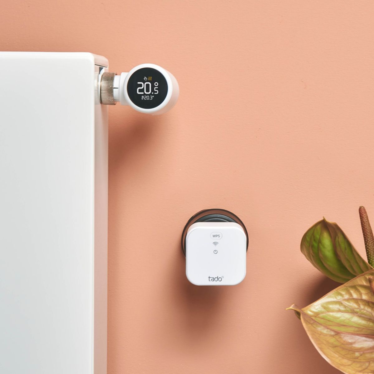 Tête thermostatique connectée Intelligente X kit de démarrage couleur unique, TADO