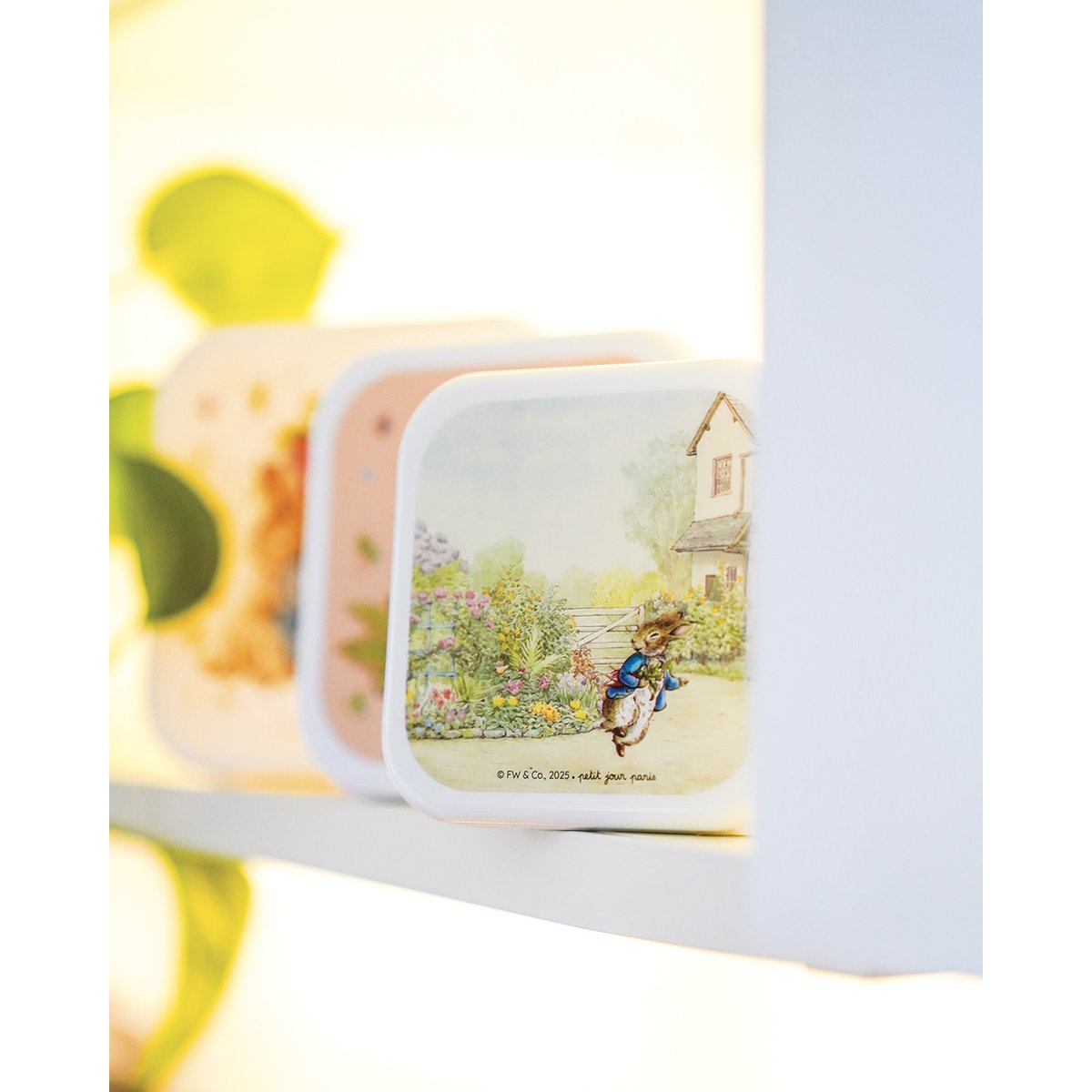 Set de 3 Lunch Box PIERRE LAPIN bleu, vert, jaune., PETIT JOUR