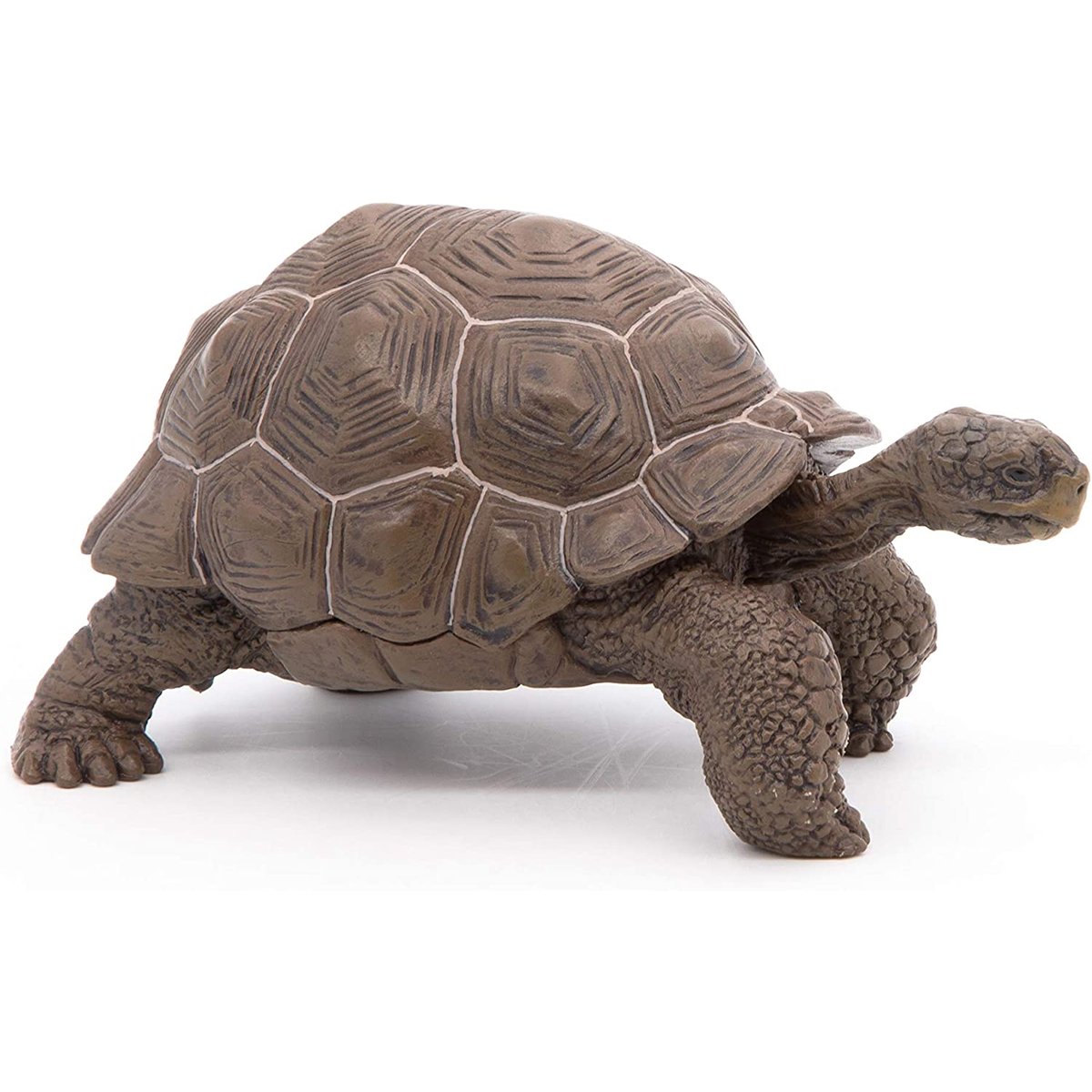 Figurine Tortue des galapagos marron, PAPO