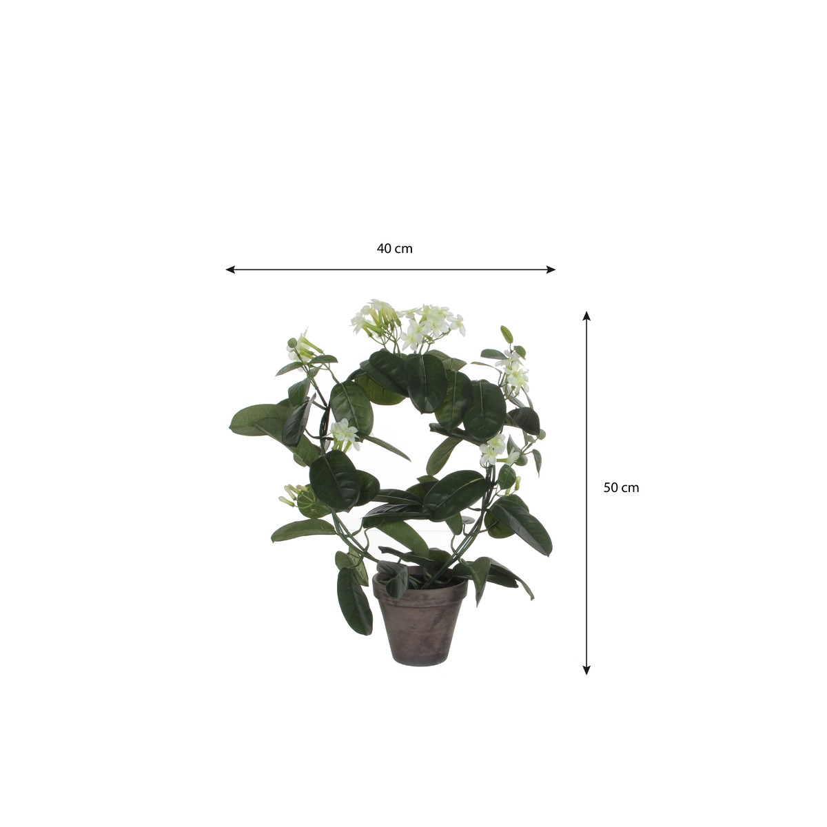 Plante artificielle STEPHANOTIS blanc, MICA DECORATIONS
