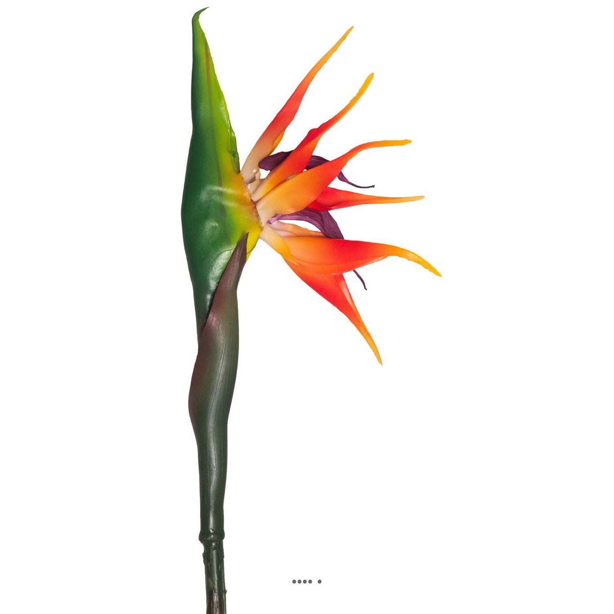 Strelizia Arabica artificiel H 80 cm oiseau v002239, ARTIFICIELLES