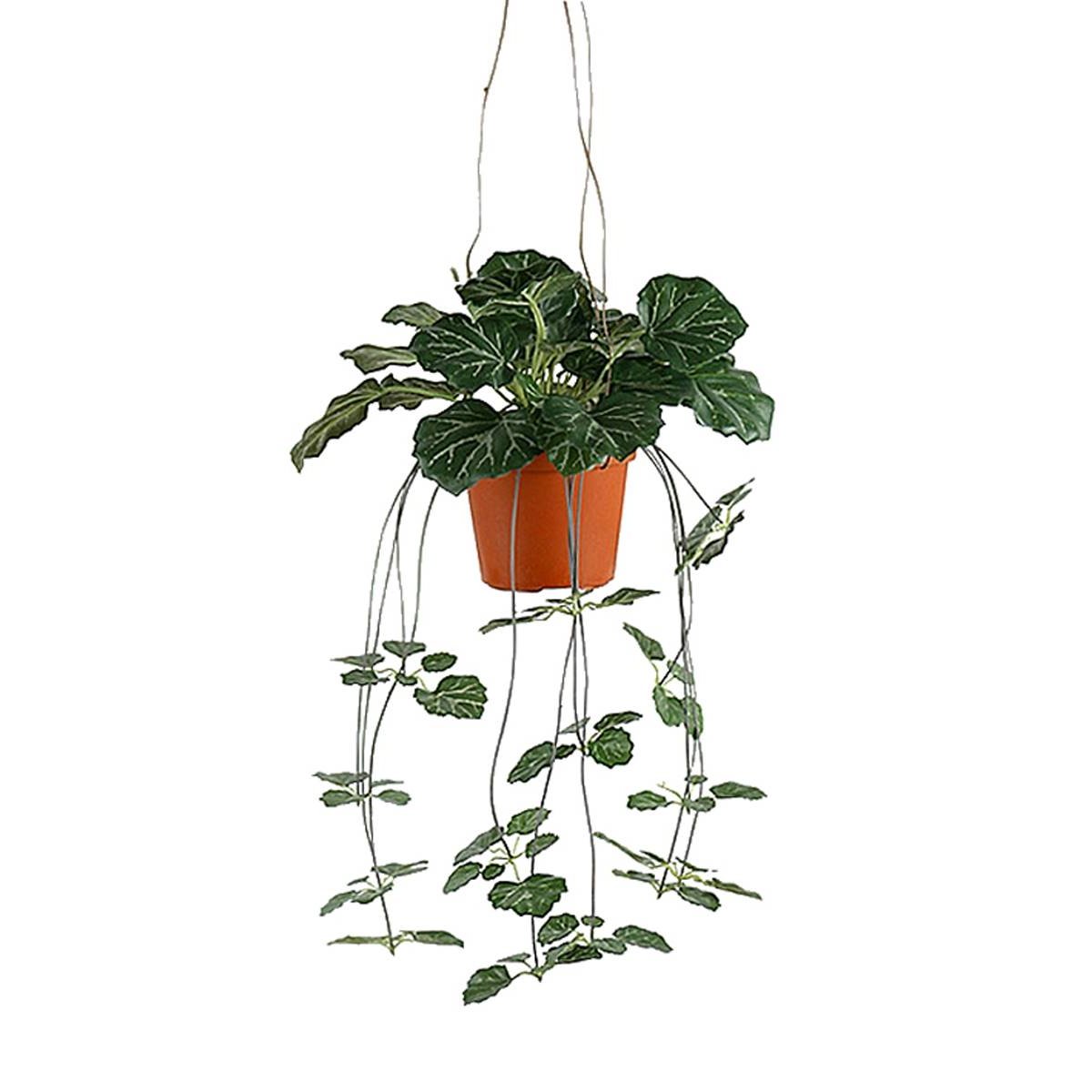 Saxifrage artificiel retombant en pot suspendu, L 35 cm, D 23 cm vert, ARTIFICIELLES