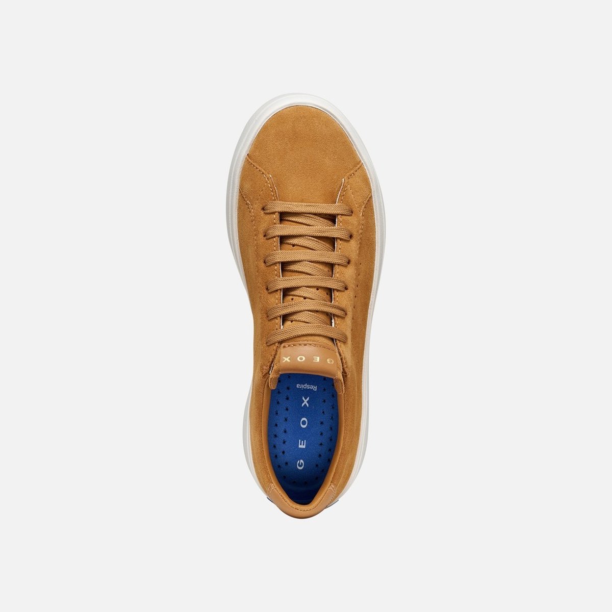 Baskets D GXCP-03 cognac, GEOX