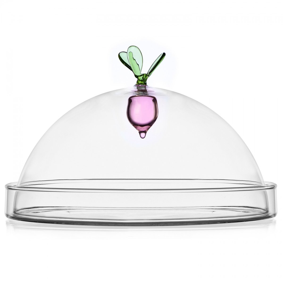 Cloche Radis Vegetables transparent, ICHENDORF