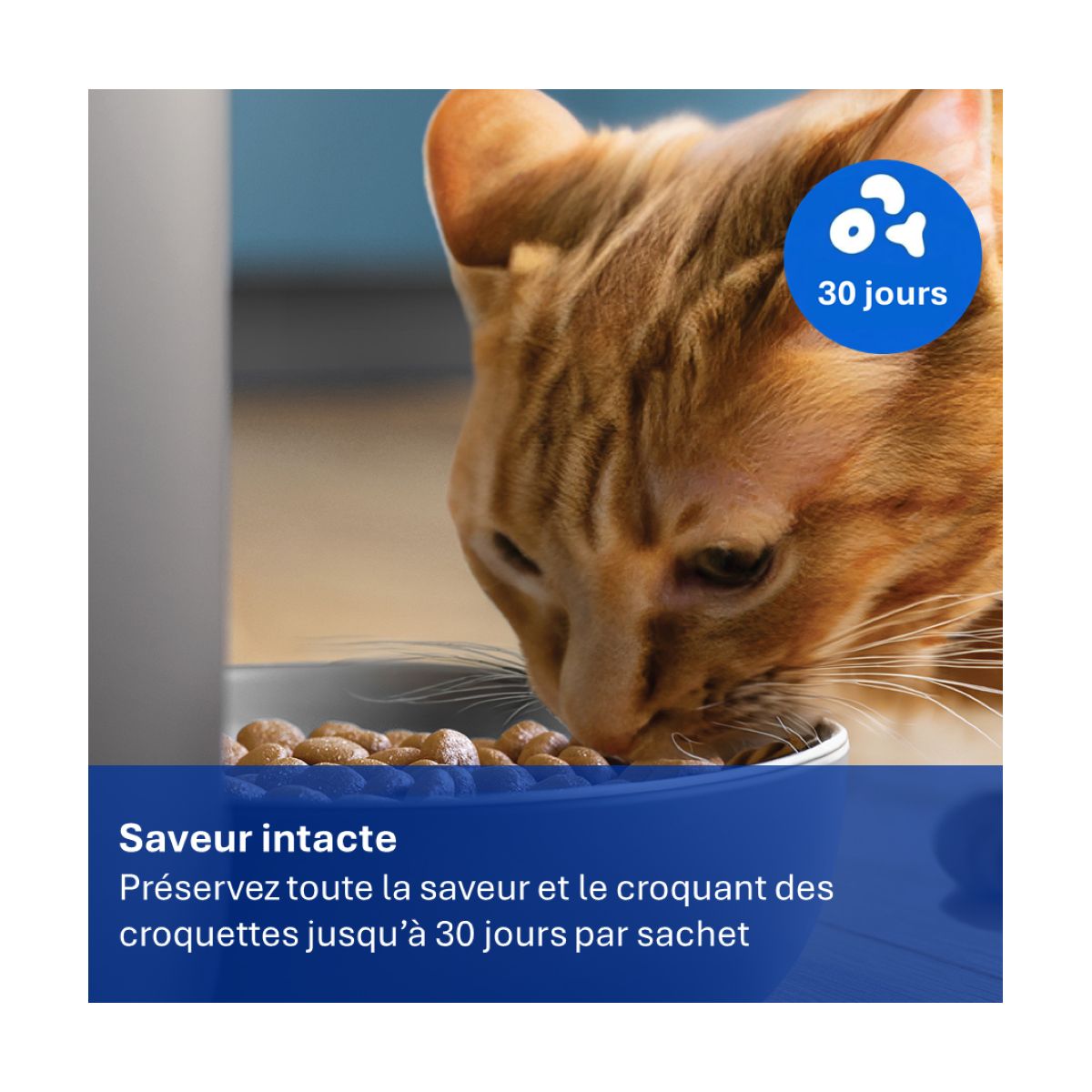 Distributeur de croquettes pour PAW0020/01 sachets x12 couleur unique, PHILIPS