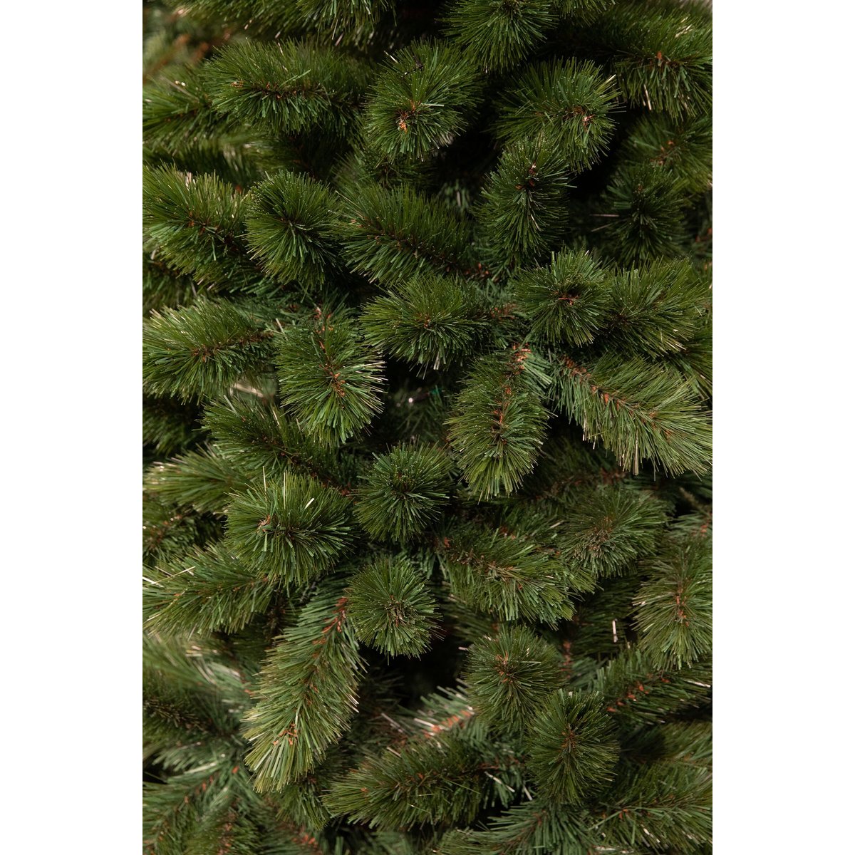 Sapin de Noël TSUGA vert, TRIUMPH TREE