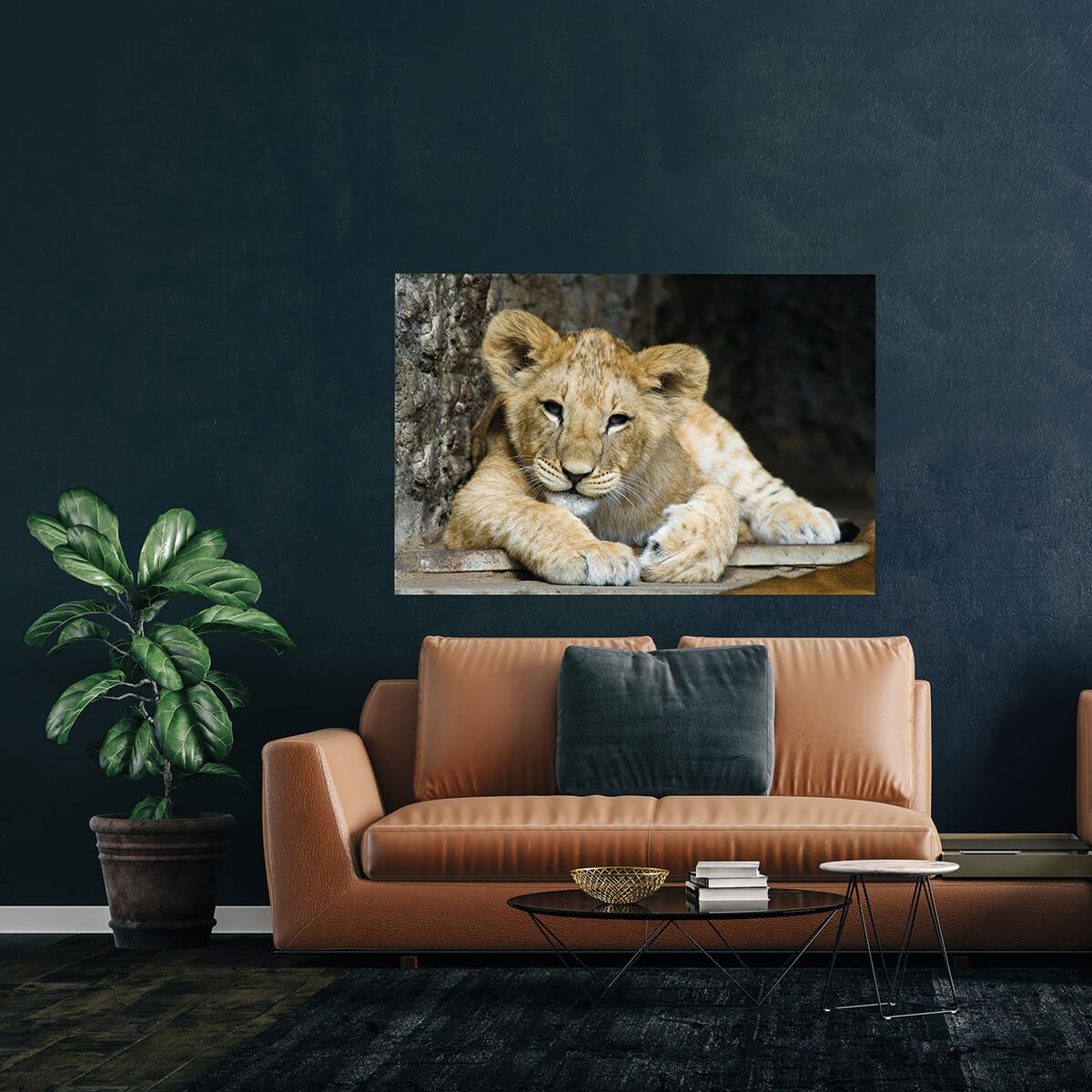 Tableau Mural Lion Cub ANIMAUX tableau en verre synthétique, CEANOTHE