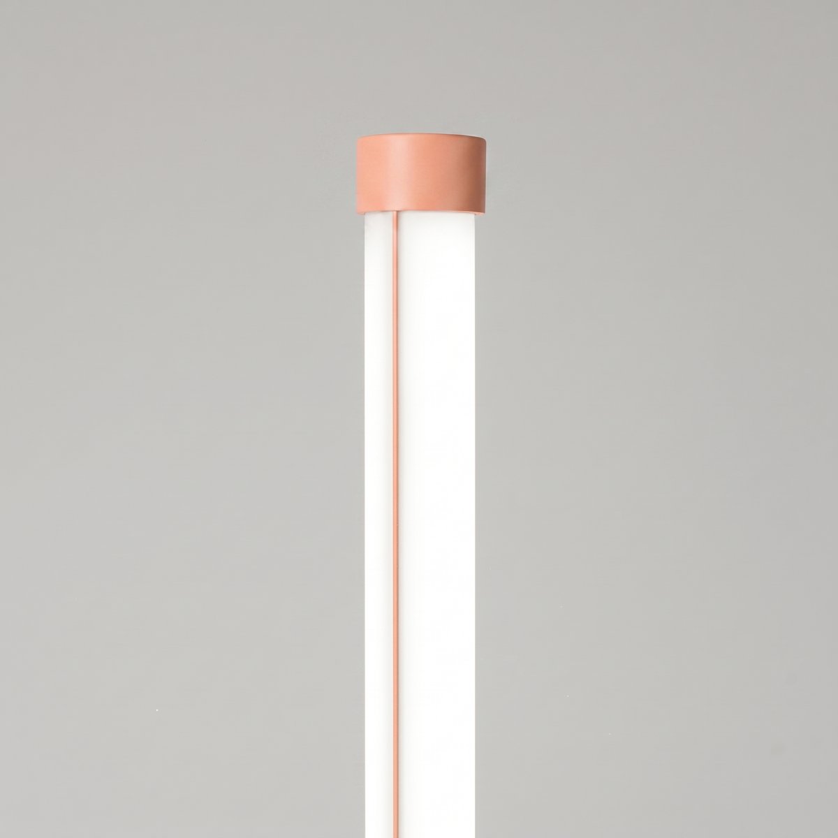 Lampadaire Pêche LED 1 Trang pêche, EDEN