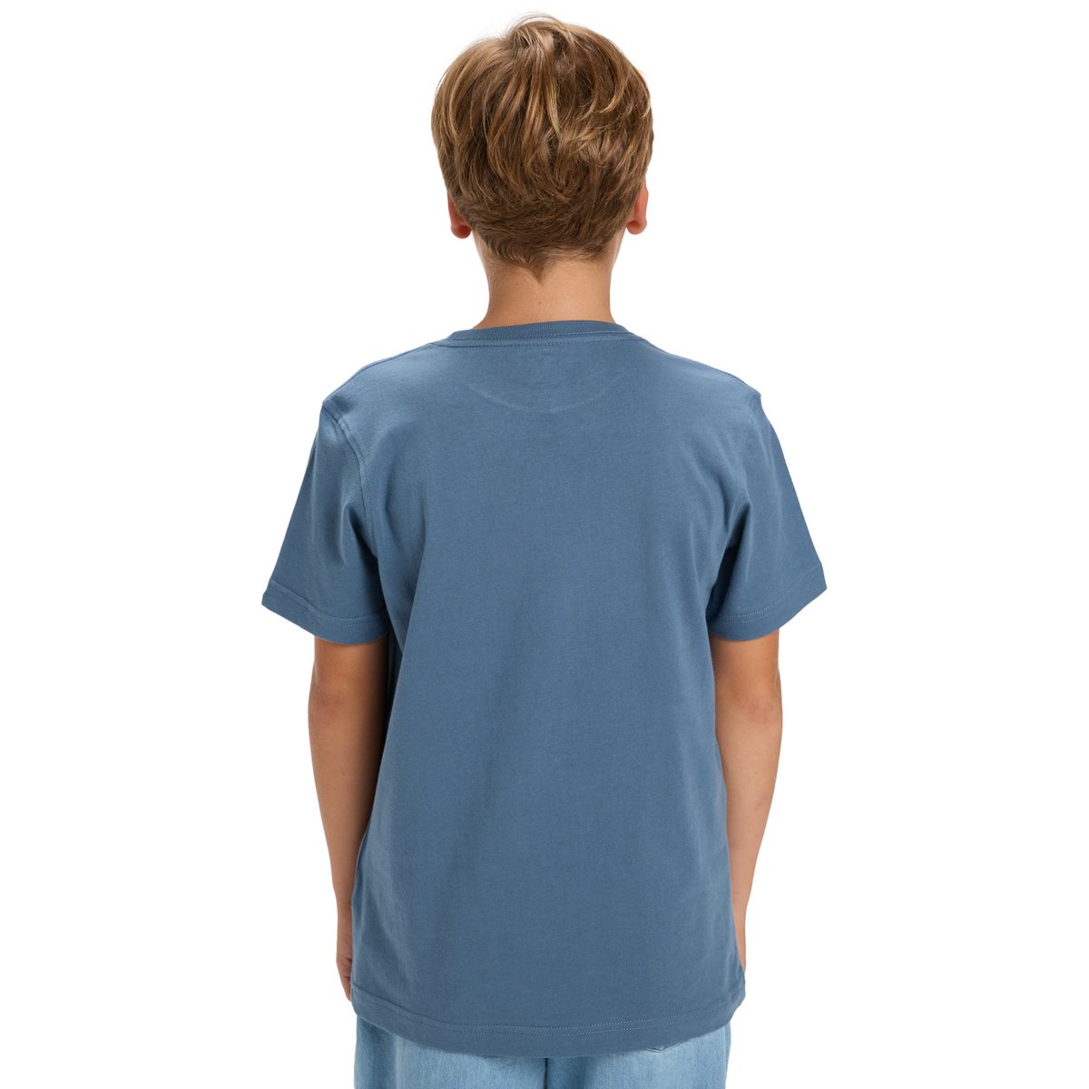 T-shirt à manches courtes EV IN WAVES bleu china blue, QUIKSILVER