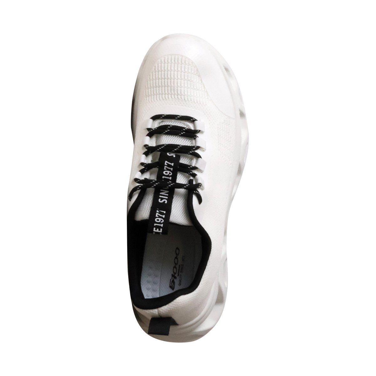 Basket Basse à Lacets 51000 blanc, ENZO MARCONI