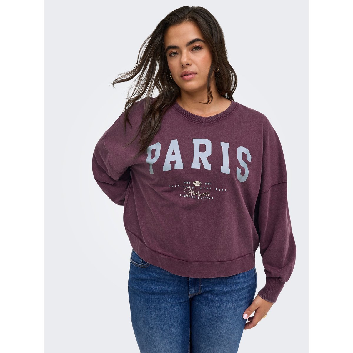 Sweat-Shirt violette - fig 1, ONLY CARMAKOMA