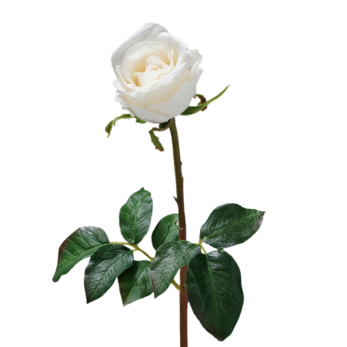Tige de rose fermée avec feuilles artificielle H50 PREMIUM blanc, SIA DECO