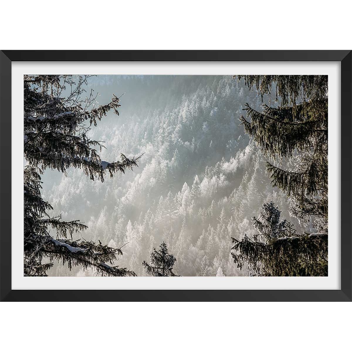 Affiche paysage forest in fog drama affiche + cadre en bois - noir, HEXOA