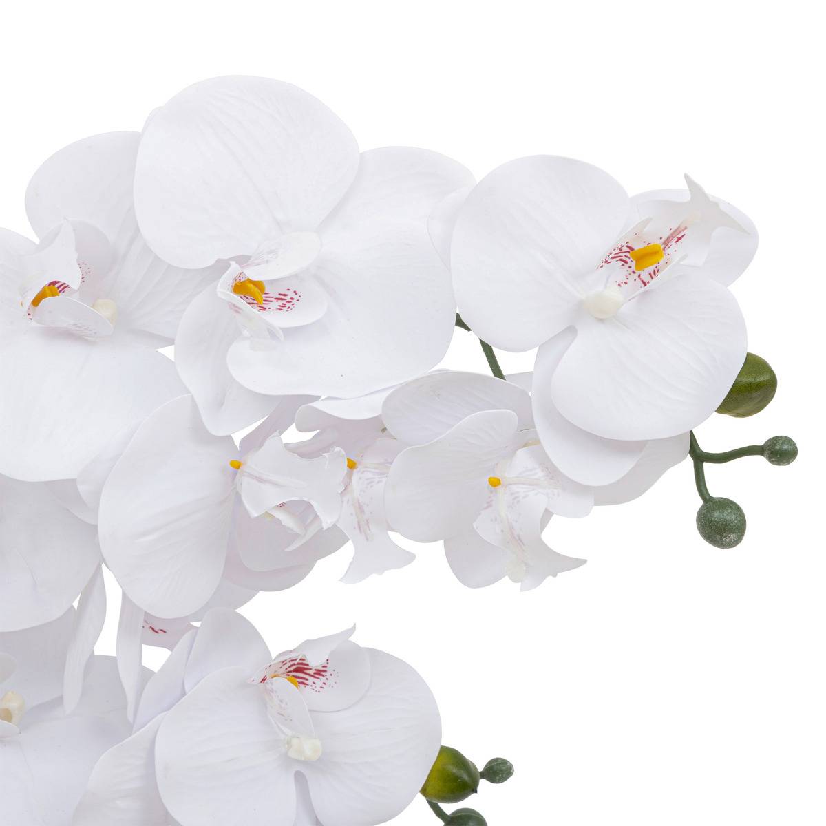 Orchidée artificielle RIVA blanc, ATMOSPHERA