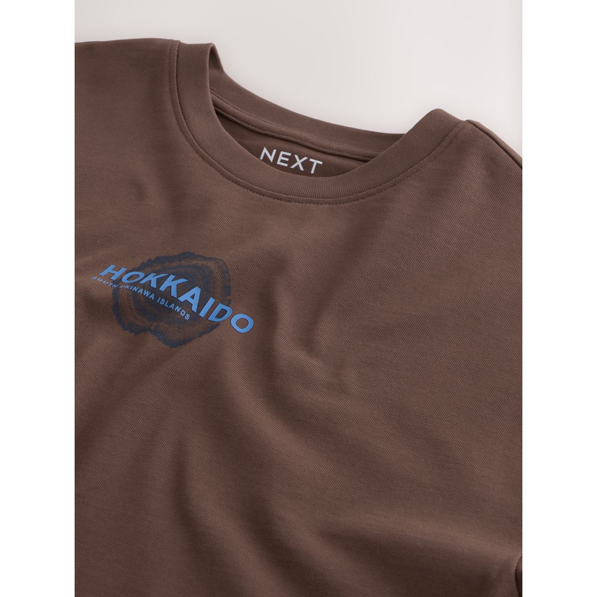 T-shirt de plage épais à imprimé arbre du japon brun, NEXT