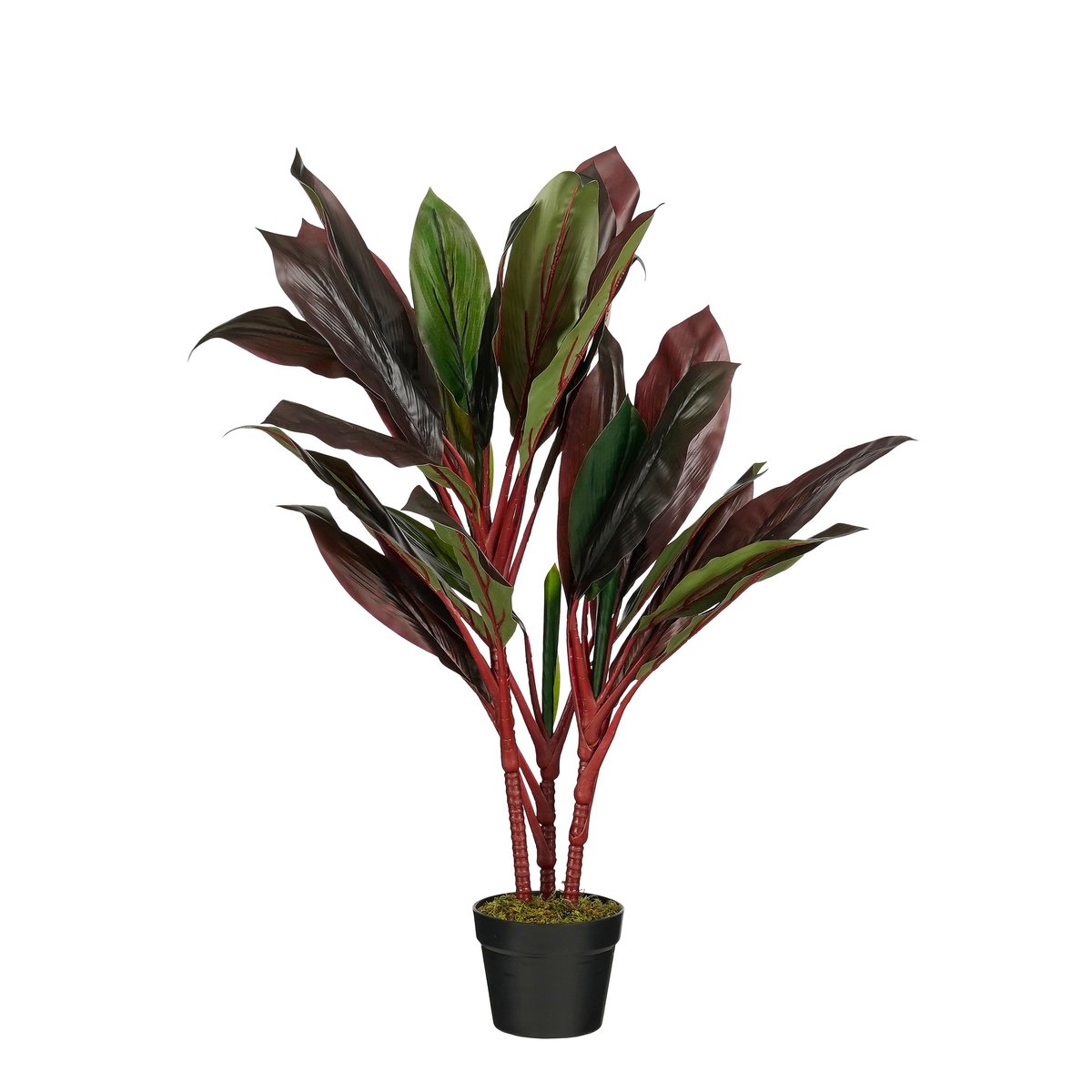 Plante artificielle CORDYLINE rouge, MICA DECORATIONS