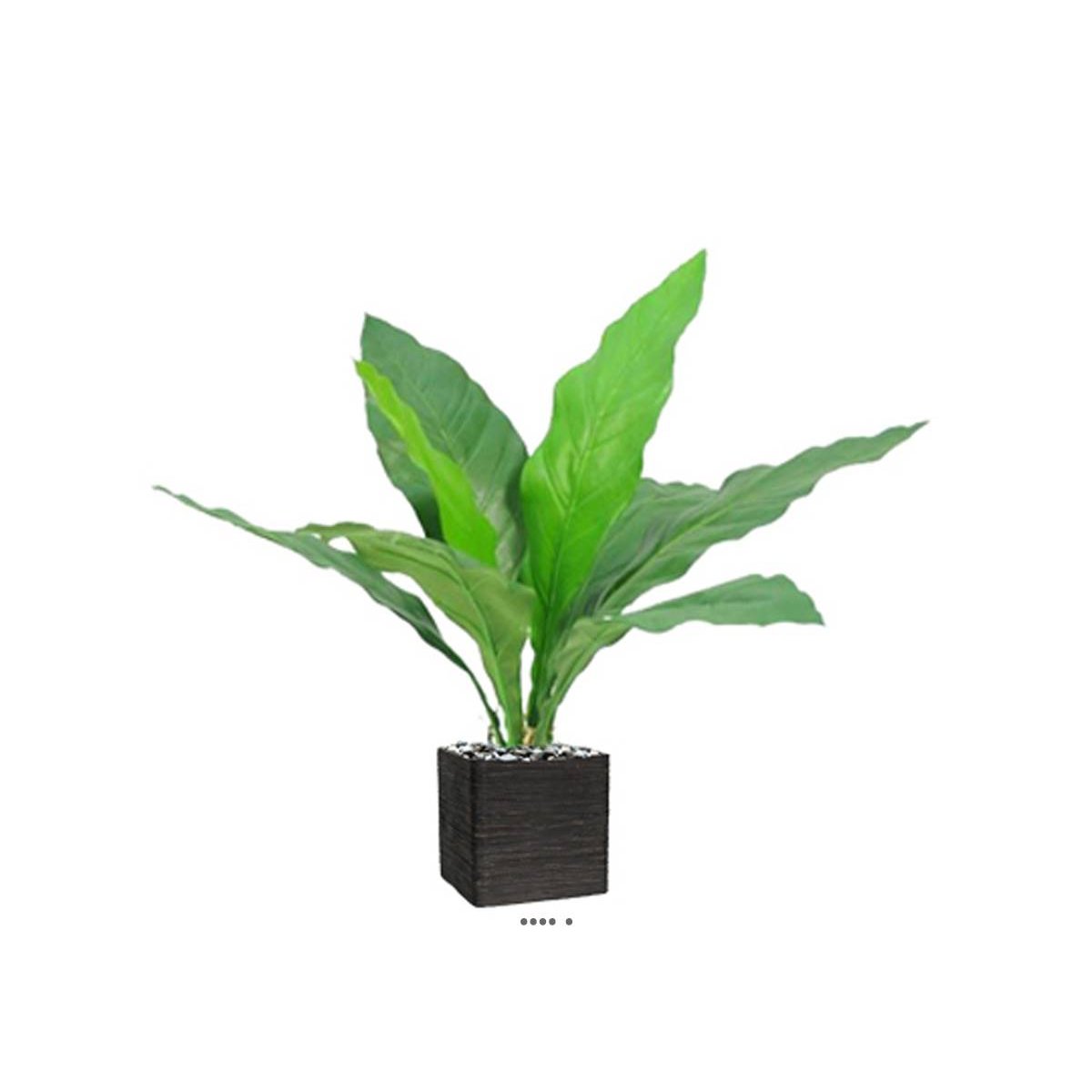 Piquet d'anthurium artificiel H 5 v002239, ARTIFICIELLES