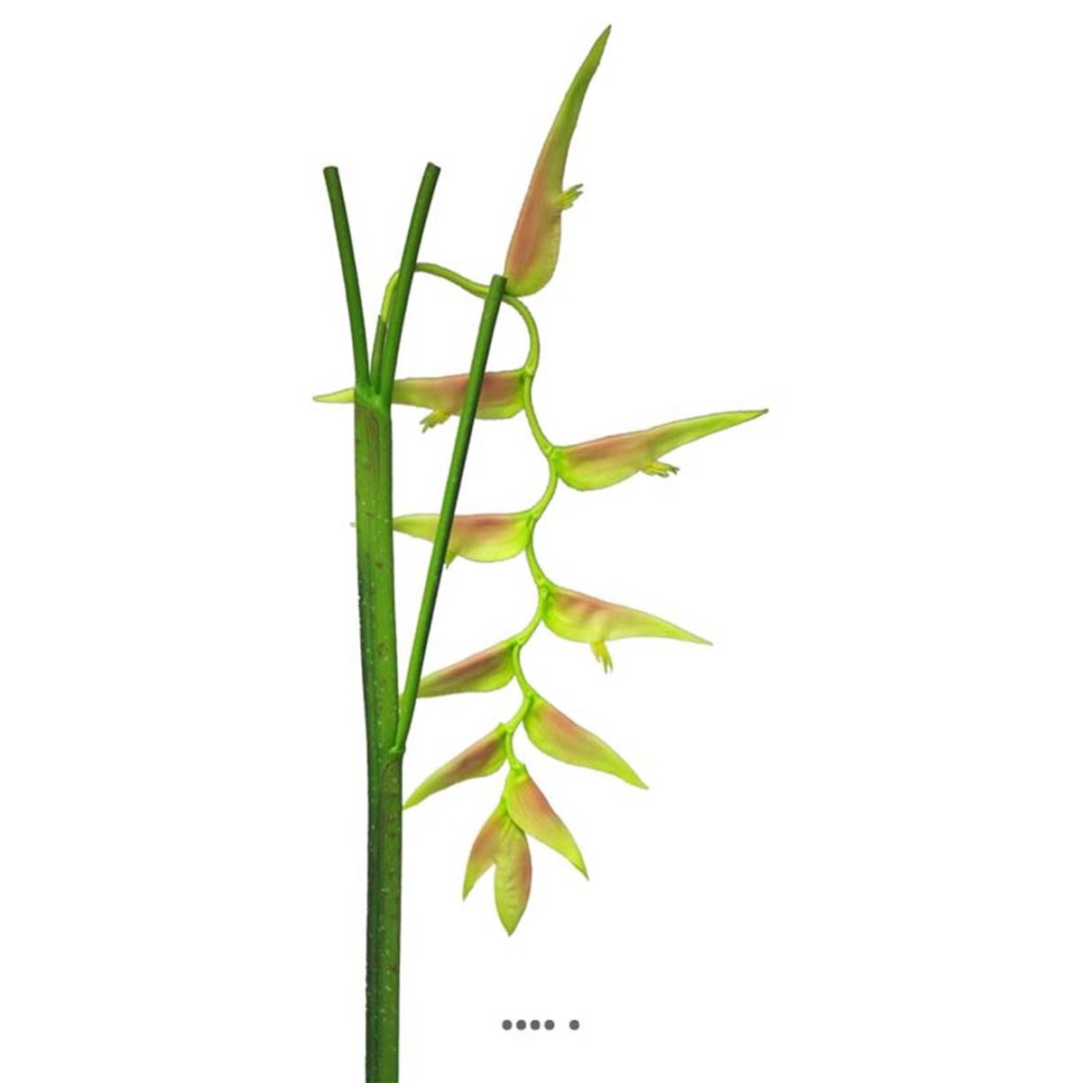 Branche d’Heliconia Equatorial, L 128 vert-rose, ARTIFICIELLES