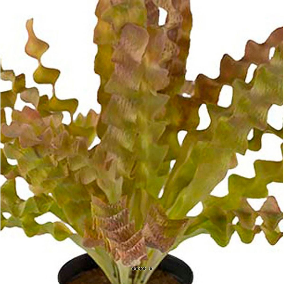 Fougère asplenium artificielle plastique crème vert, ARTIFICIELLES