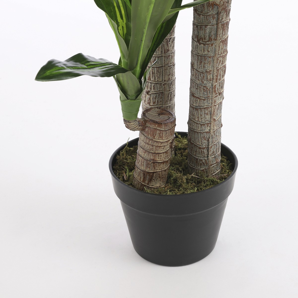 Plante artificielle DRACAENA vert, MICA DECORATIONS