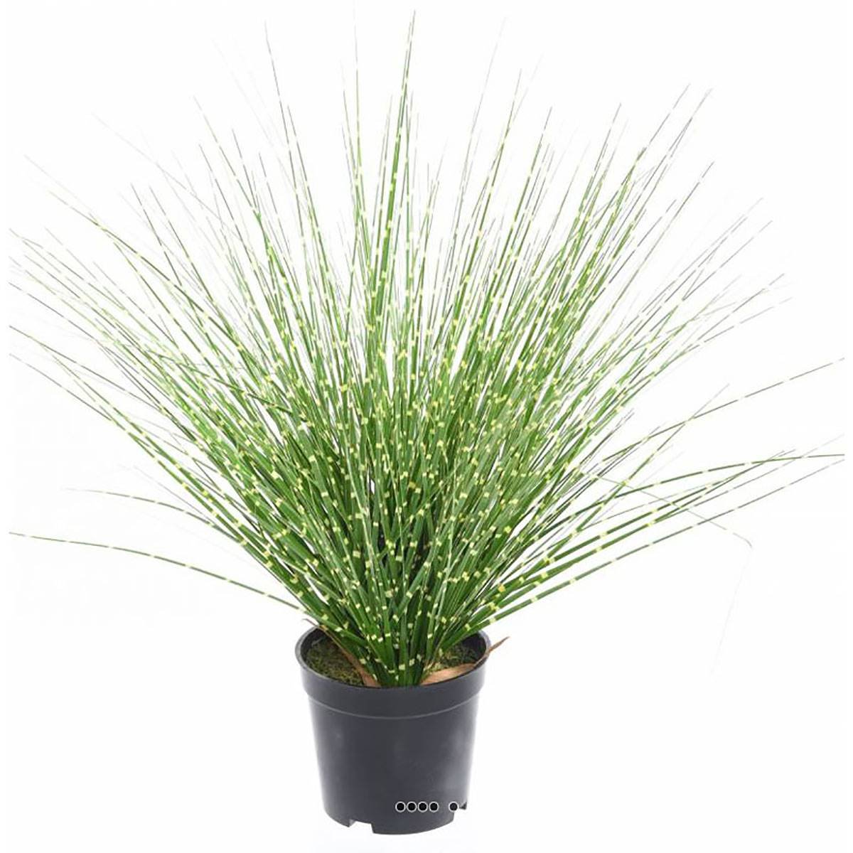 Fausse herbe miscanthus en touffe zébrée H 45 cm D 30 cm vert, ARTIFICIELLES