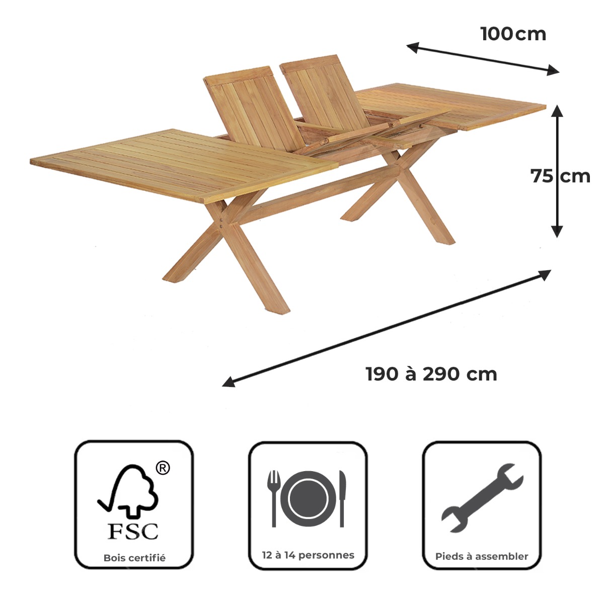 Salon de jardin en teck massif Malibu, 10 places naturel, TECK ATTITUDE