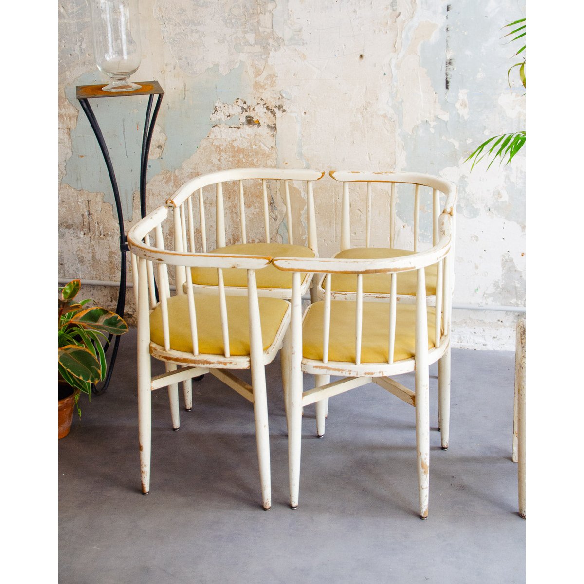 Lot de 4 chaises courbées Claude N°1251 - Bon état bois clair, DEBONGOUT