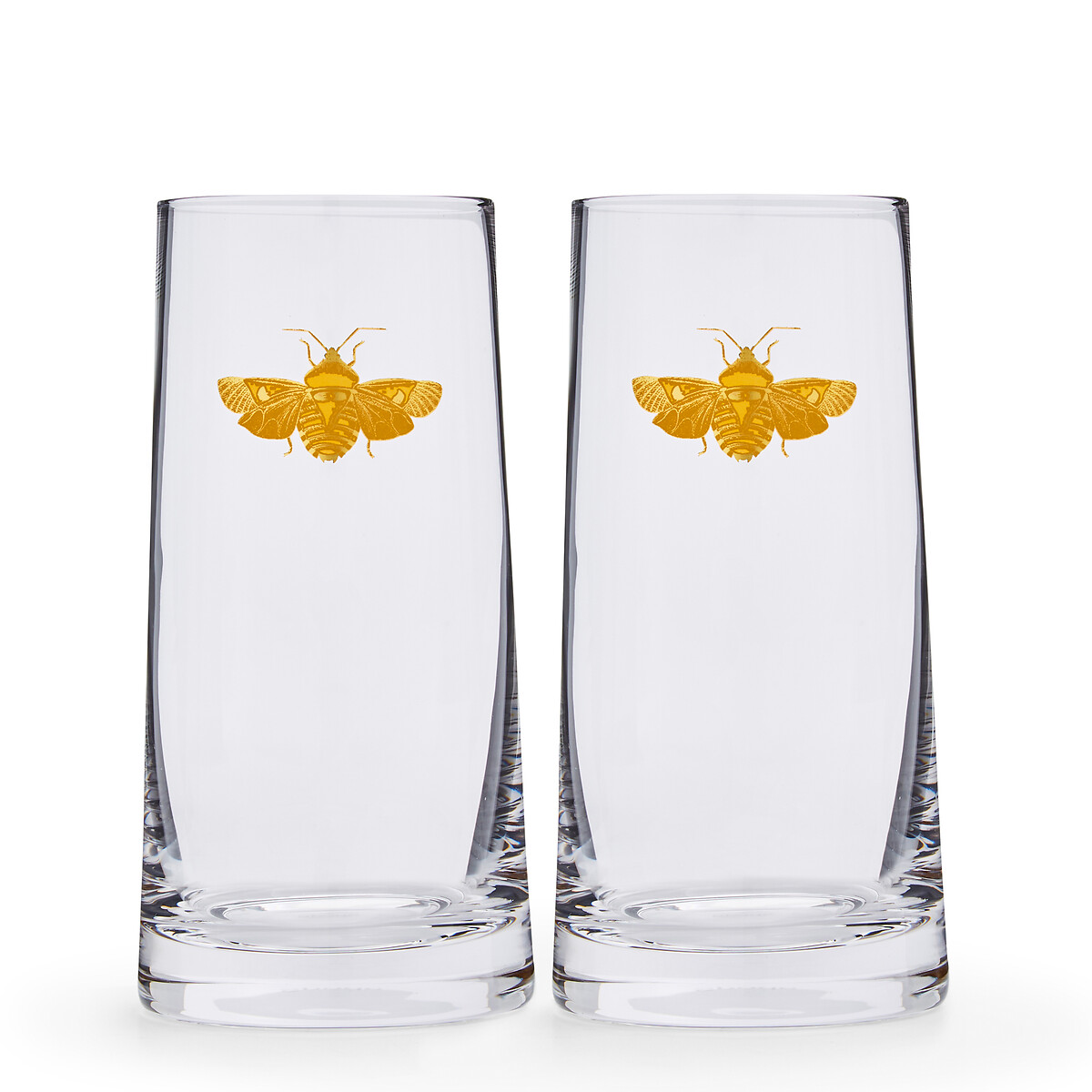 Set of 2 Creatures of Curiosity Hiball Glasses transparent, SPODE