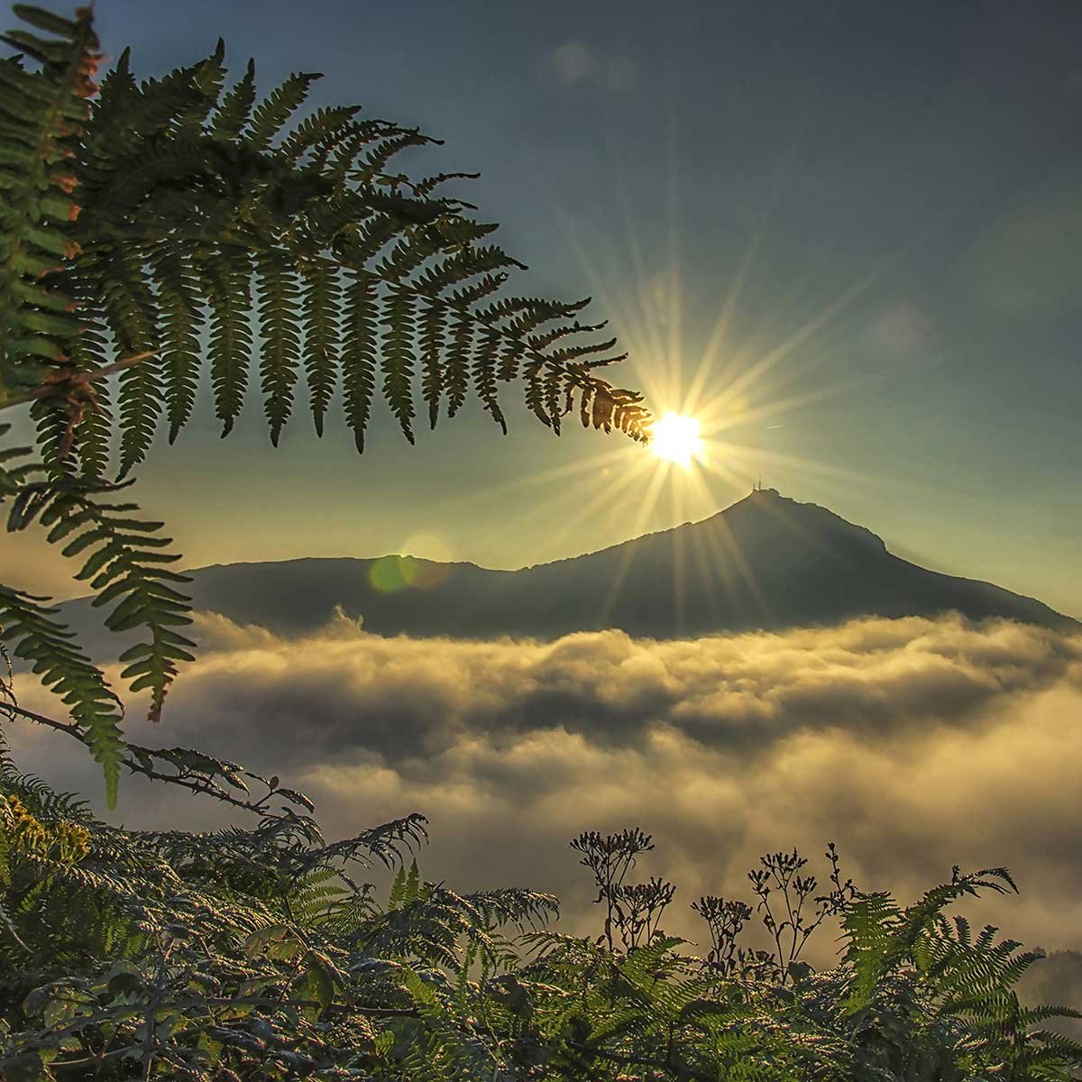 Tableau soleil sur la rhune tableau alu dibond, HEXOA