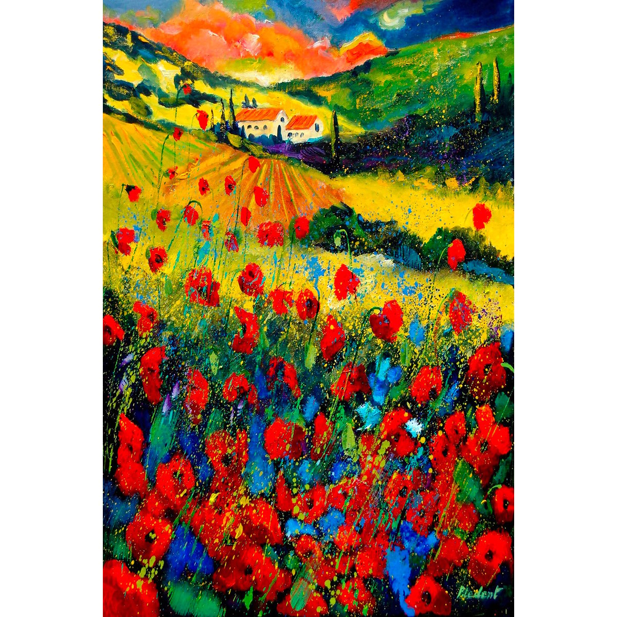 Tableau fleurs champ de coquelicot en provence tableau alu dibond, HEXOA
