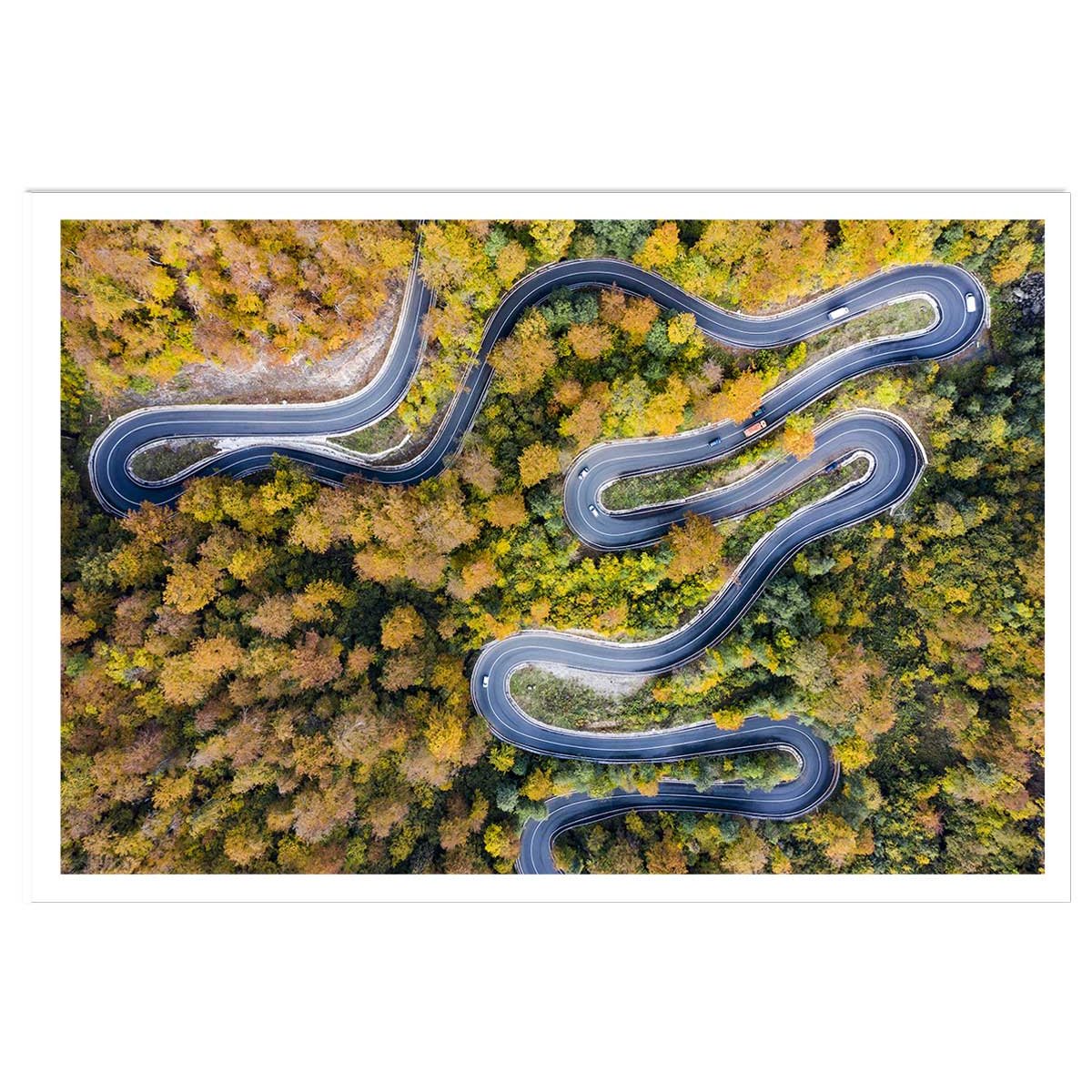 Affiche Route d' automne affiche seule, HEXOA