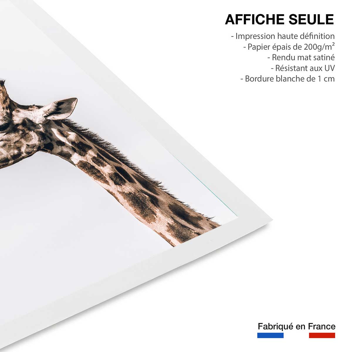 Affiche animaux prendre de la hauteur affiche seule, HEXOA