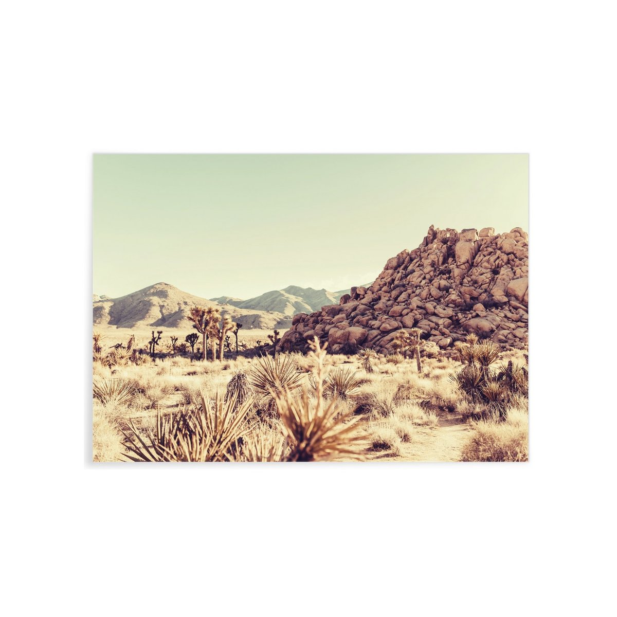 Poster Nature Desert 6 blanc, L'AFFICHERIE