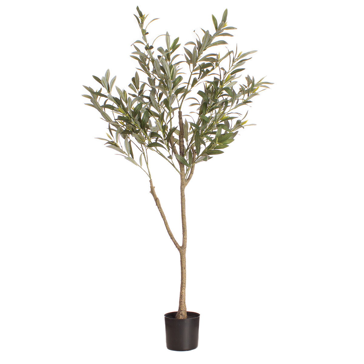 120cm Olive Tree multi-coloured, SO'HOME