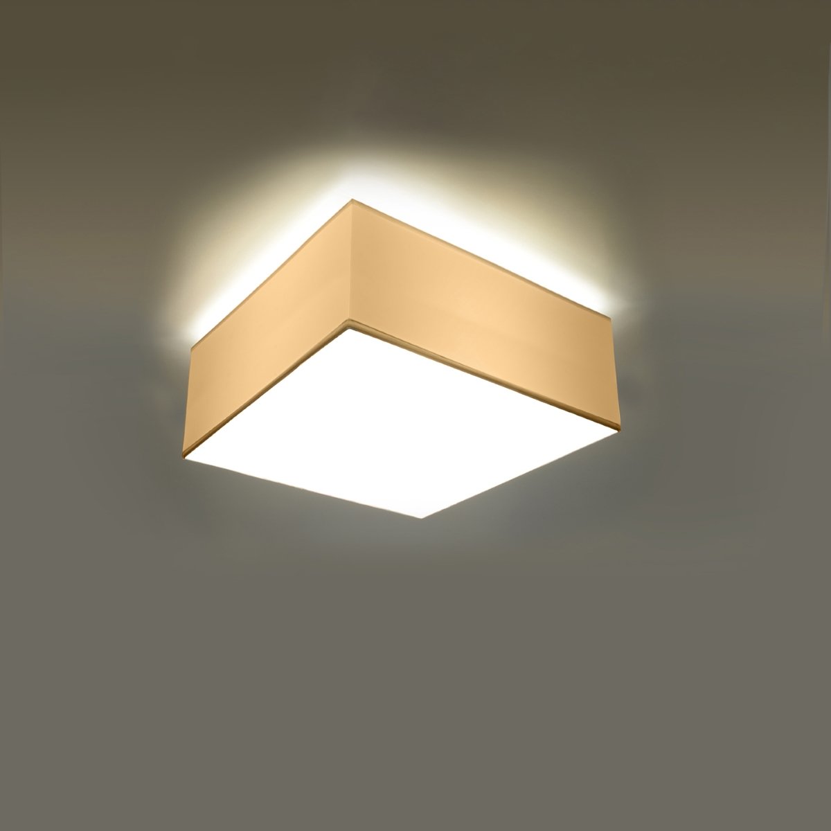 Plafonnier PVC Blanc E27 1 Horus blanc, EDEN