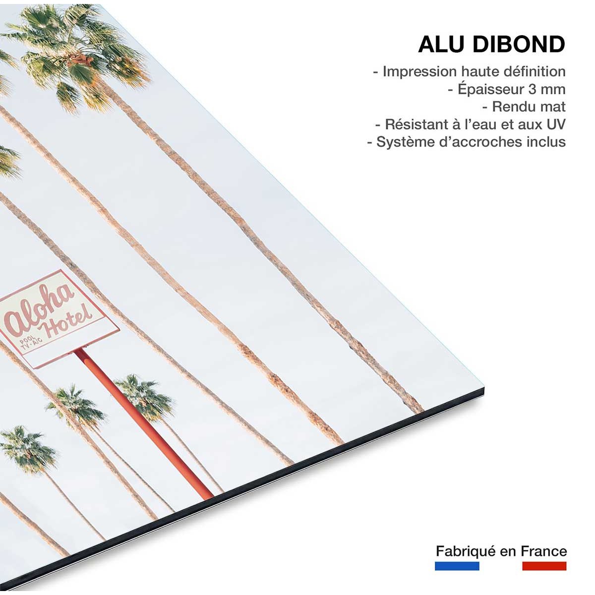 Tableau palmier aloha palmier tableau alu dibond, HEXOA