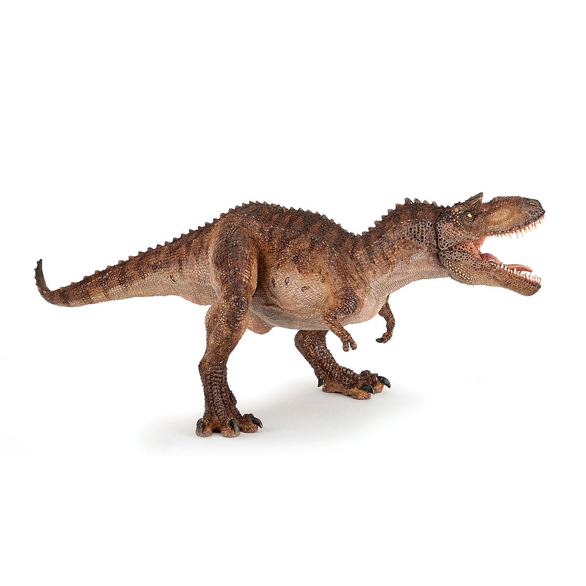 Figurine Gorgosaurus marron, PAPO