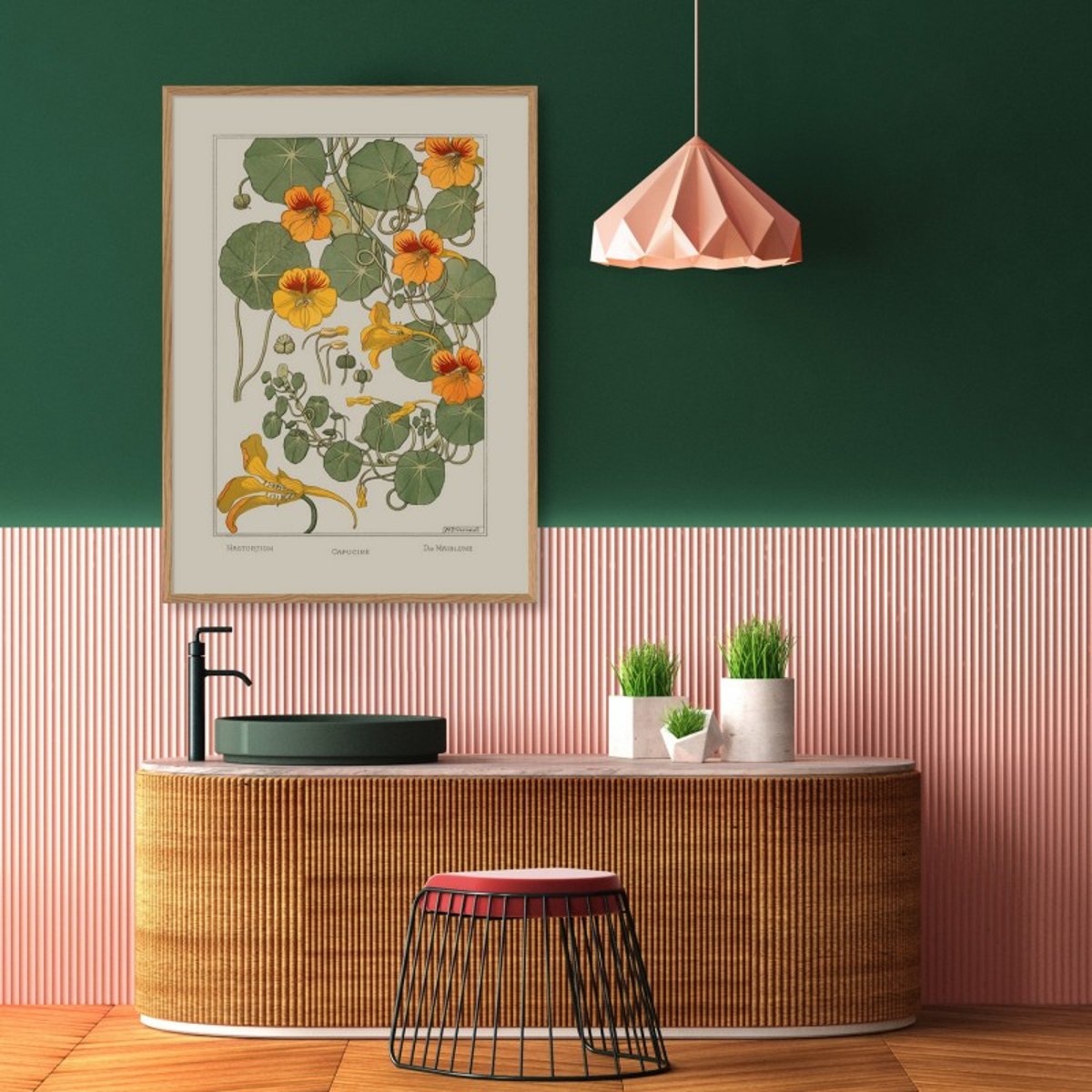 Affiche botanique fleurs  Capucine orange, THE DYBDAHL CO