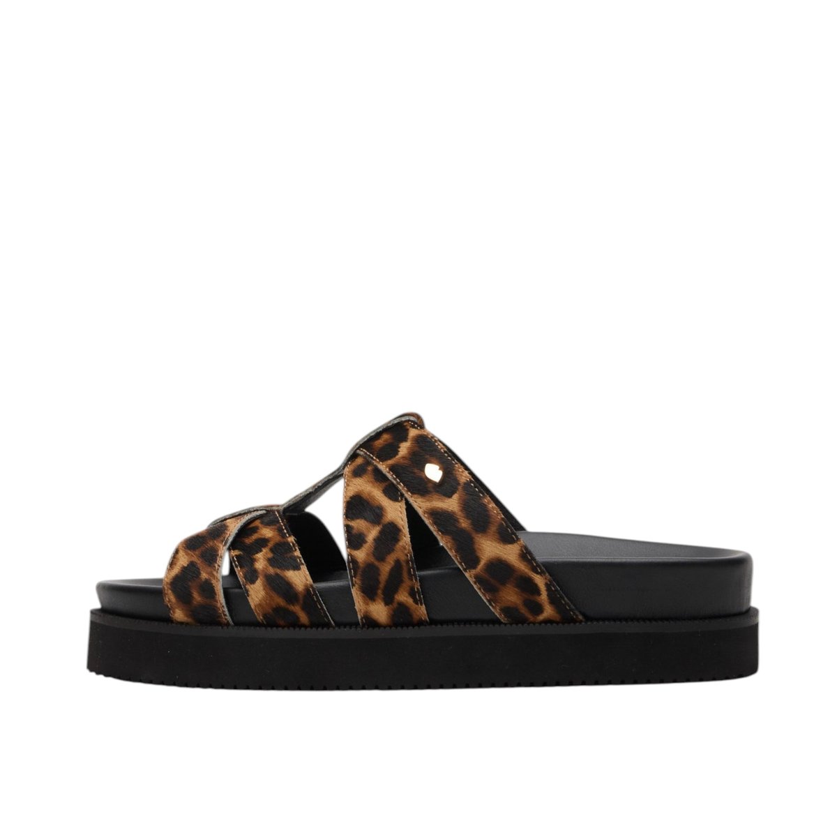 Helena Cuir leopard, BONS BAISERS