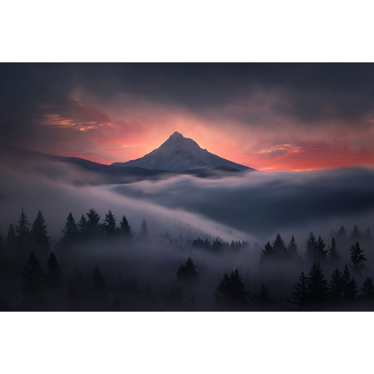 Tableau Brume en Oregon tableau alu dibond, HEXOA
