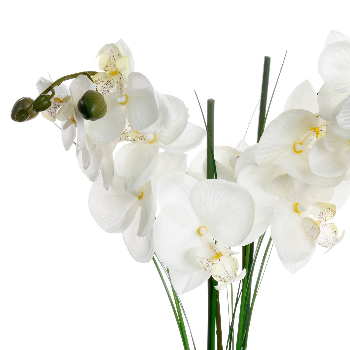 Orchidée artificielle ORCHIDEE noir, ATMOSPHERA