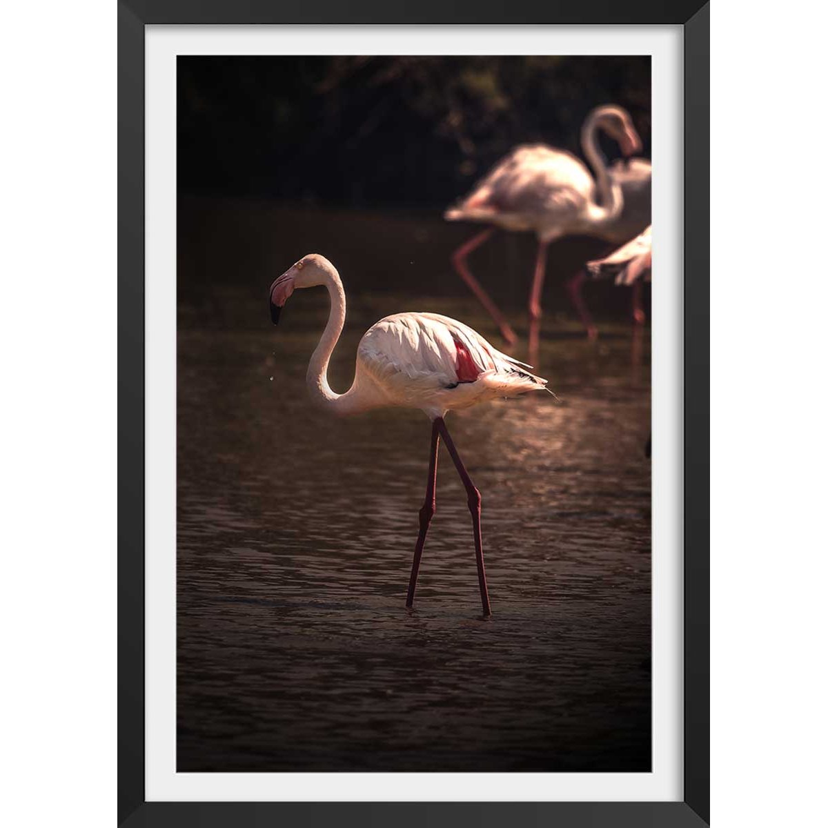 Affiche flamingo in miami affiche + cadre en bois - noir, HEXOA