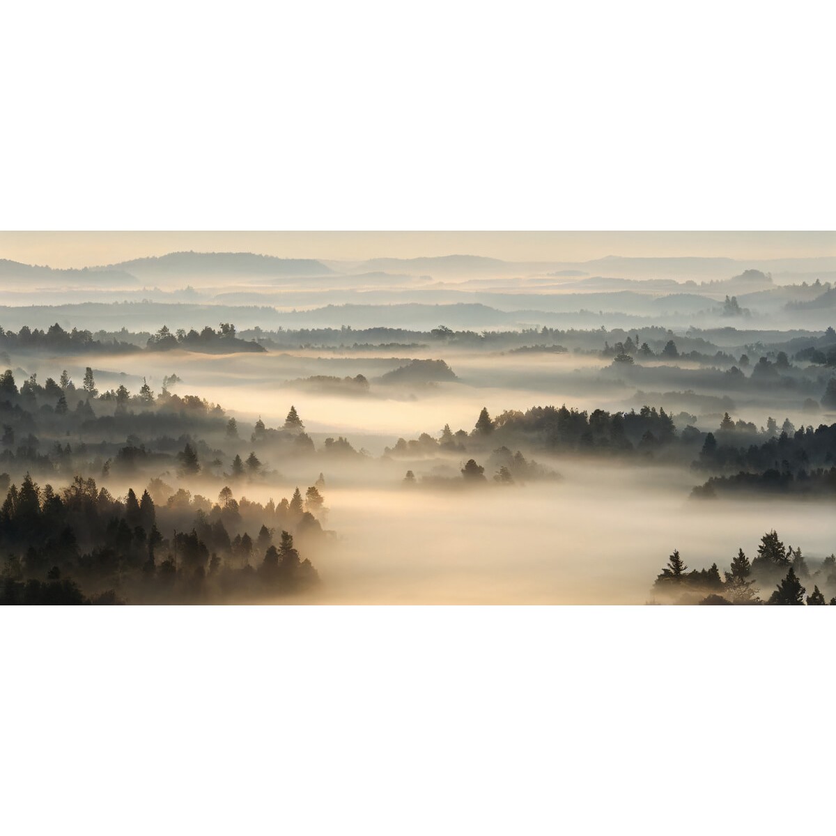 Tableau Mural Brume Matinale GRANDS ESPACES tableau en verre synthétique, CEANOTHE